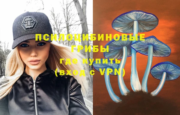 бошки Алзамай