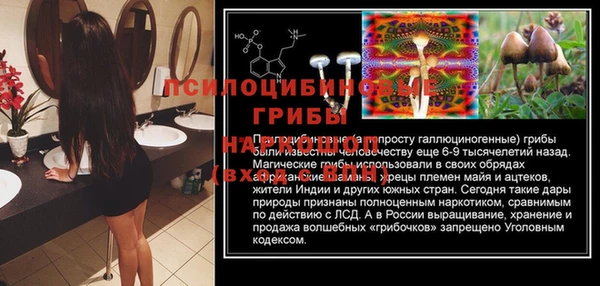 скорость Алексин