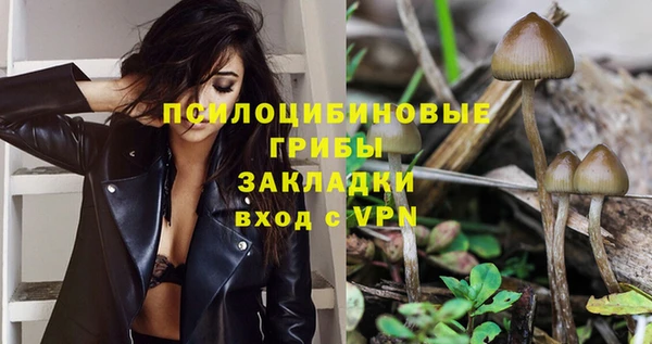 амфетамин Алексеевка