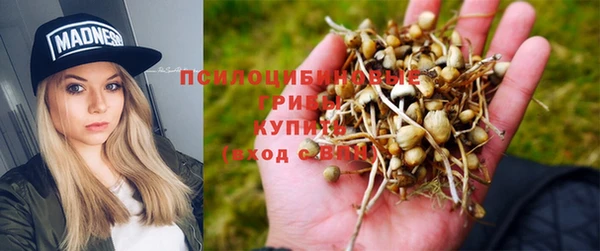 бошки Алзамай